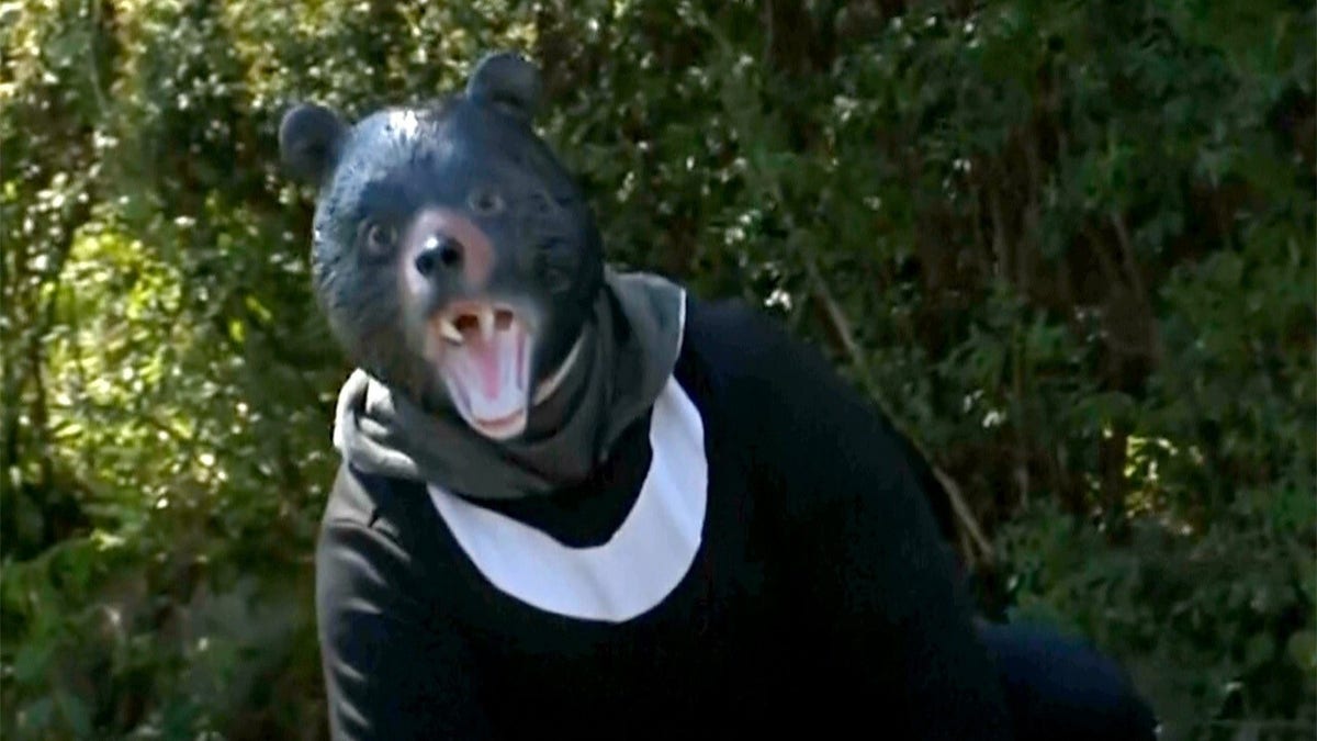 Bear attacks in Japan prompt police to conduct safety drills with