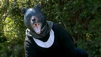 Japanese town holds bear drill after rise in attacks across the country