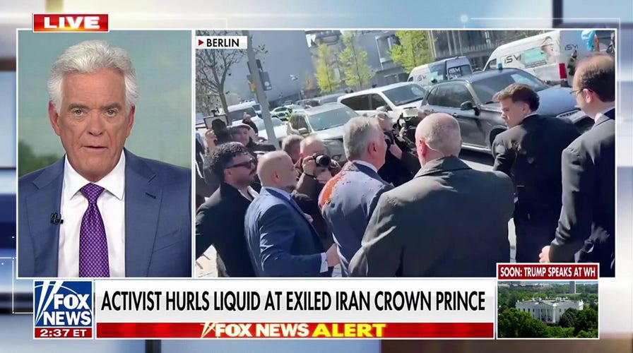 Activist hurls liquid at exiled Iranian crown prince