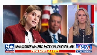 Democratic Party hit with identity crisis amid socialist rise