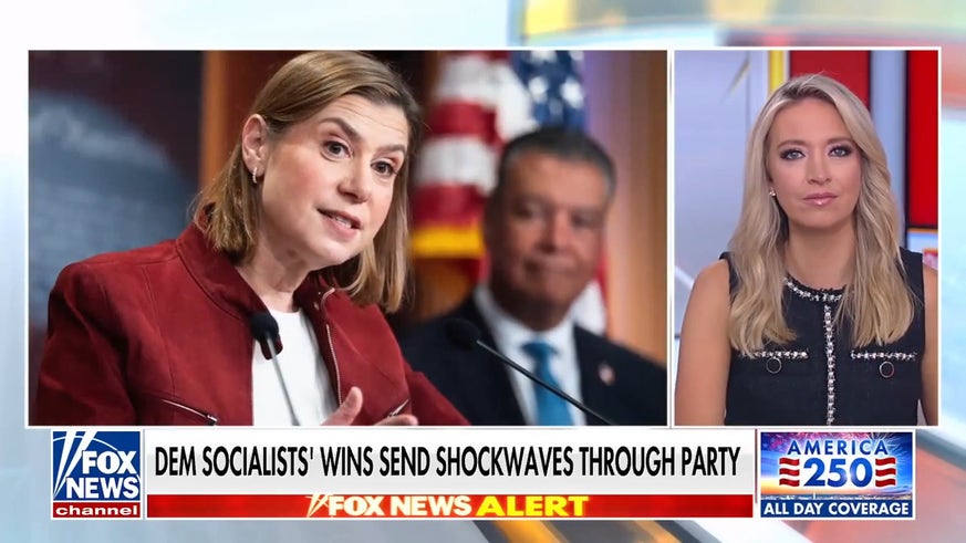 Democratic Party hit with identity crisis amid socialist rise