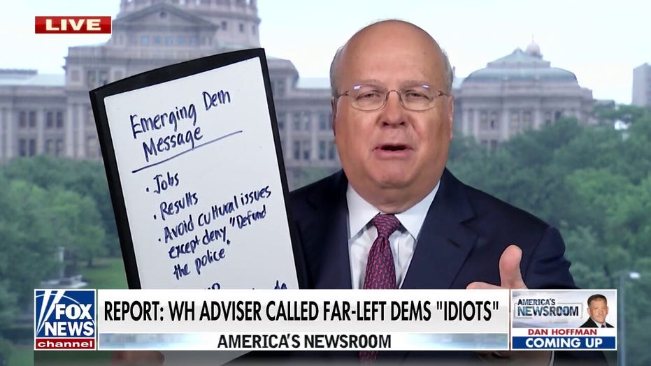 Karl Rove slams Democrats over lack of plan, no ideas to tackle inflation