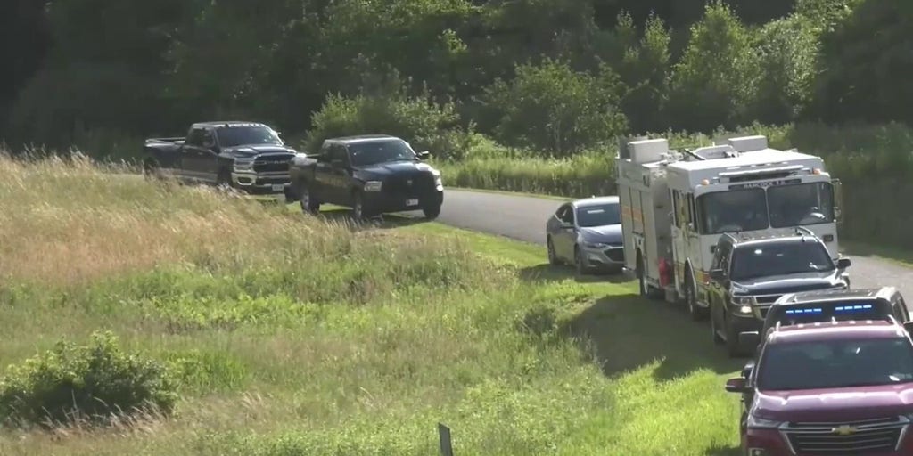 Plane with 5 people onboard crashes in upstate New York
