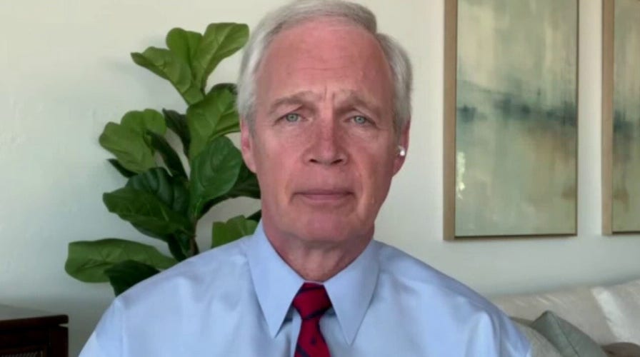 Sen. Johnson: Mainstream media, Democrats want to sweep 'legitimate' election concerns under the rug