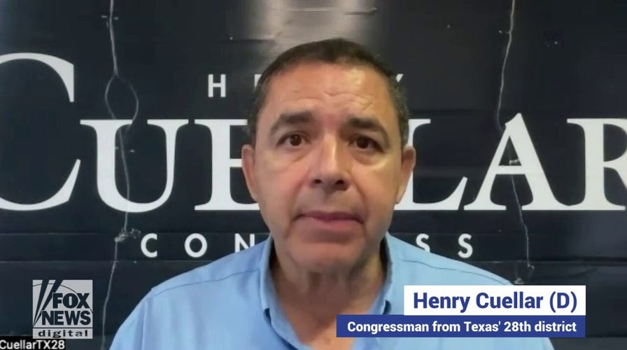 Rep. Henry Cuellar discusses why voters should re-elect him to Congress.