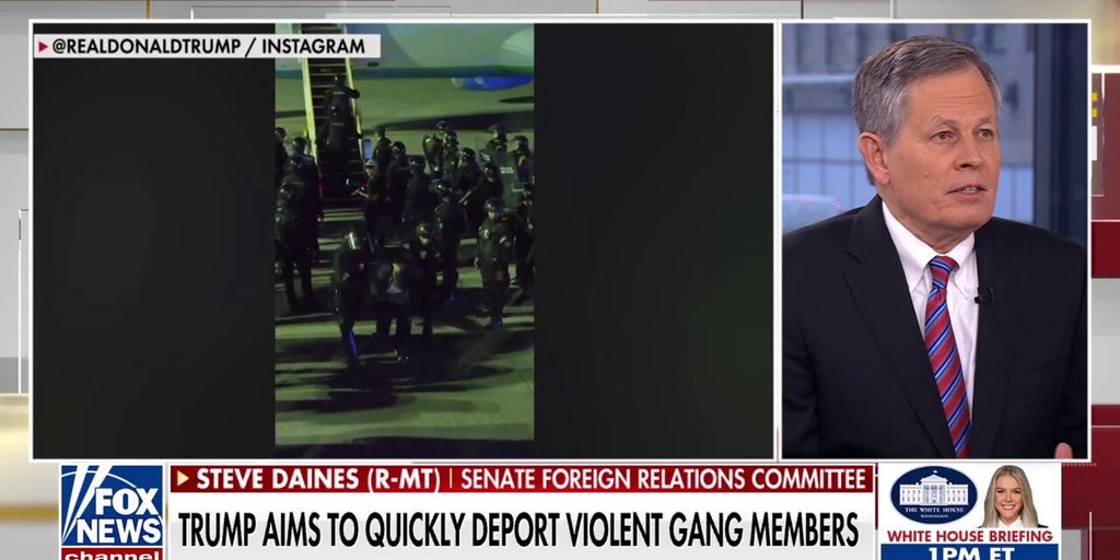 Sen. Daines praises Trump admin's deportation flight to El Salvador: 'Worst of the worst'