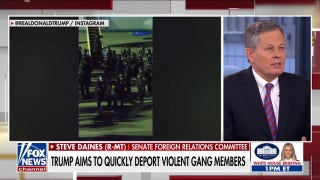 Sen. Daines praises Trump admin's deportation flight to El Salvador: 'Worst of the worst'