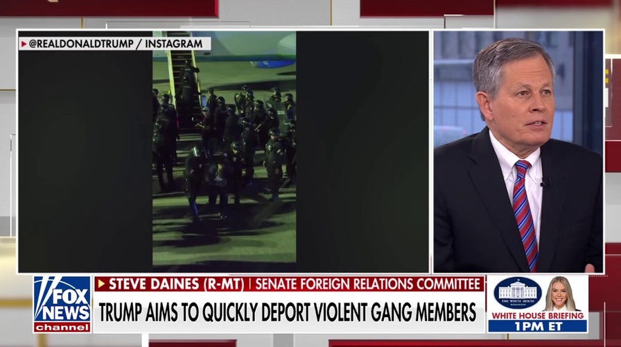 Sen. Daines praises Trump admin's deportation flight to El Salvador: 'Worst of the worst' 