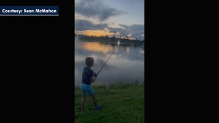 Alligator steals Florida boy's fishing rod - Fox News