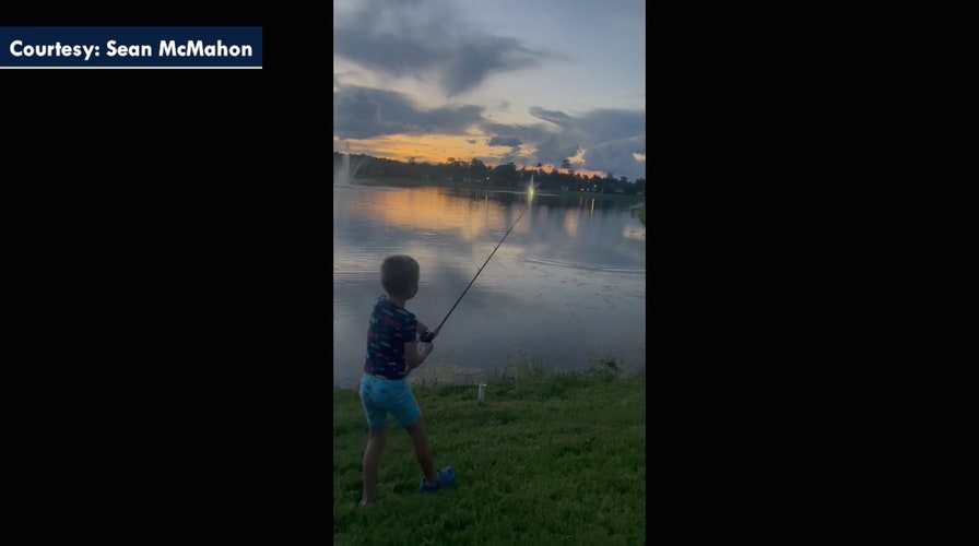 Alligator steals child's fishing rod in shocking video