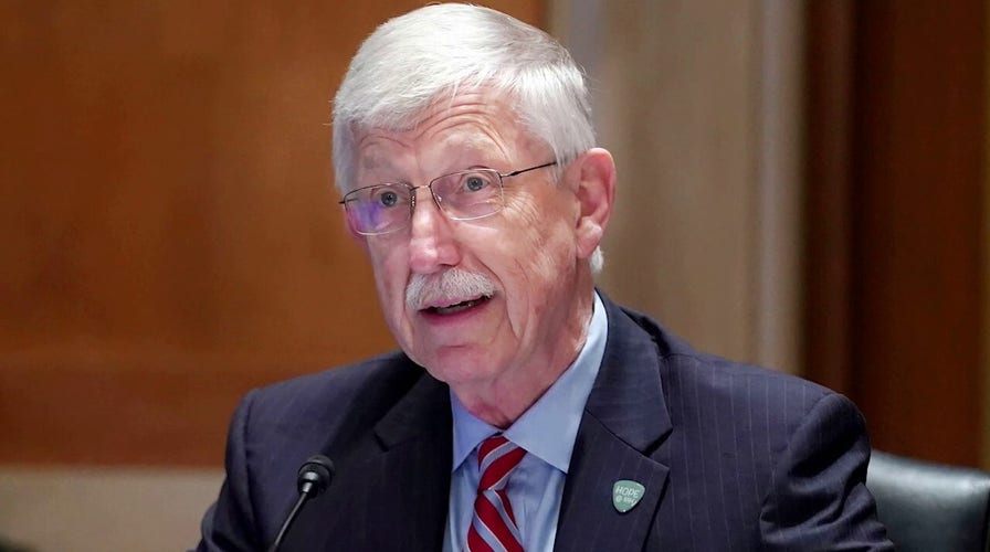 Coming up on 'Fox News Sunday': November 28