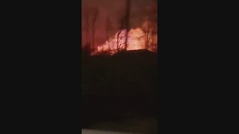 Michigan building explosions burn tractor storage facility to ground: video