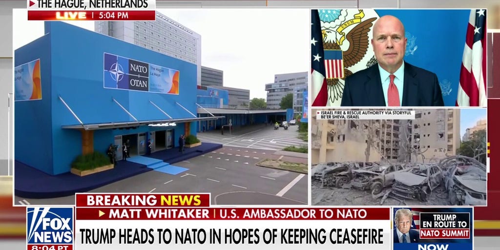 Trump is 'setting the tone' for the free world, says US ambassador to NATO