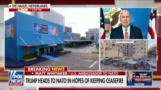 Trump is 'setting the tone' for the free world, says US ambassador to NATO