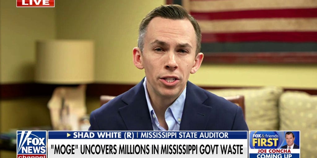 Mississippi state auditor urges other states to form their own DOGE initiatives to reduce government waste