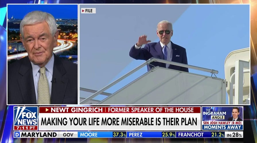 Elites using climate as an emotional excuse to control everyone else: Newt Gingrich
