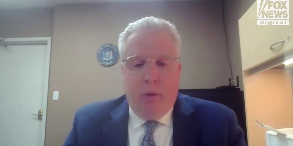 NY state senator sounds alarm on ‘devastating impact’ of Mamdani victory