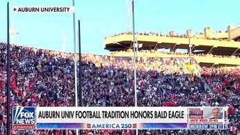 Auburn University's bald eagle tradition celebrates its 25th anniversary