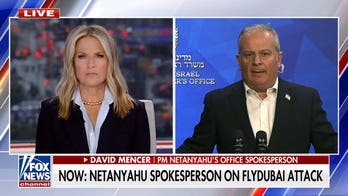 Netanyahu spokesperson says suspected FlyDubai flight attacker transferred to UAE