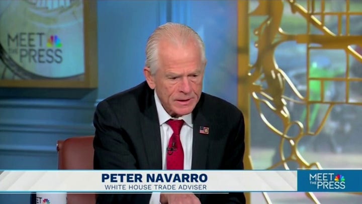 Peter Navarro dismisses Musk's name-calling, criticisms of Trump admin tariff policy, says he's been 'called worse'