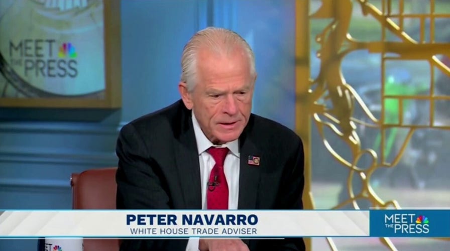 Peter Navarro dismisses Musk's name-calling, criticisms of Trump admin tariff policy, says he's been 'called worse'
