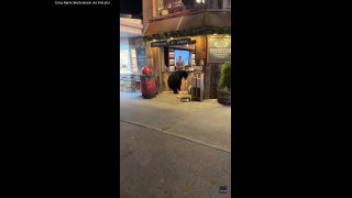 Tourist captures shocking moment bear enters wine shop in Tennessee - Fox News