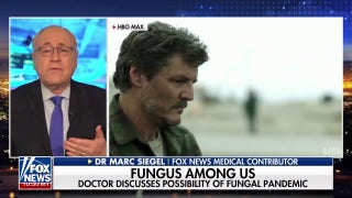 Hit series 'The Last of Us' puts spotlight on possible fungal pandemic - Fox News