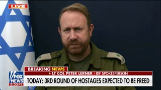 Israel, Red Cross have ‘no indication’ that hostage release will not happen today: Peter Lerner - Fox News