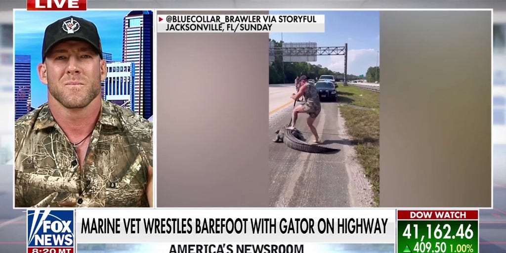 Marine veteran wrestles alligator on Florida highway while barefoot