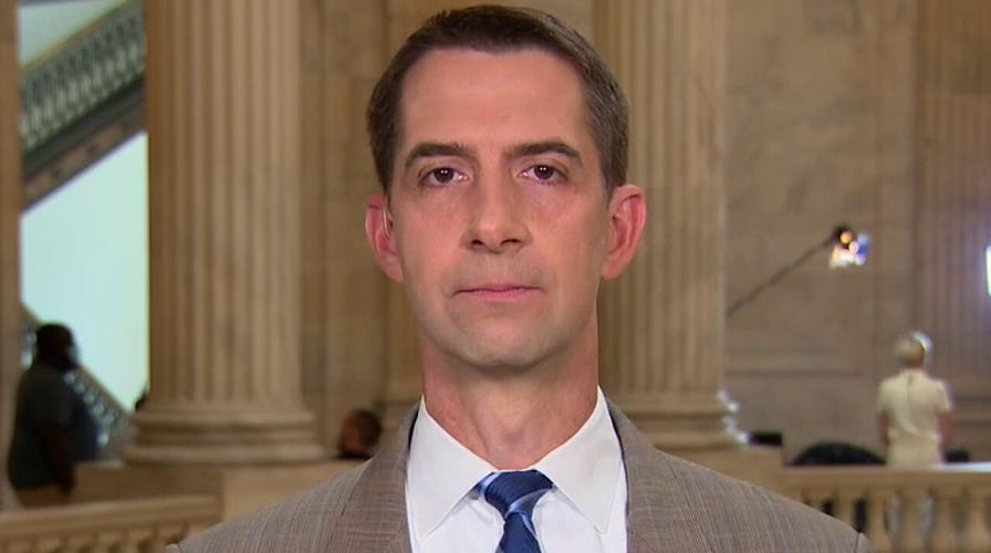 Sen. Tom Cotton blasts Biden's broken promises on COVID, hypocrisy at southern border