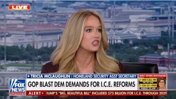 Dems are holding Americans’ national security ‘hostage,’ DHS official argues