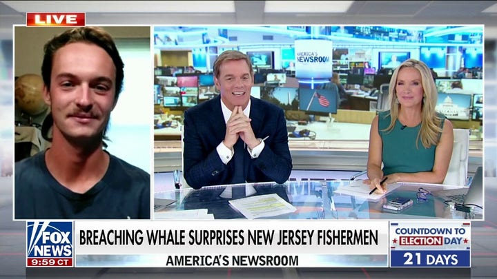 Breaching whale gives New Jersey fishermen a shocking experience