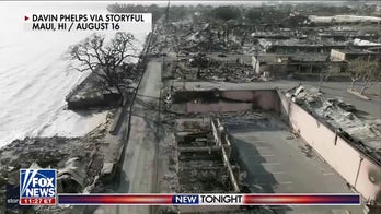 Who is legally culpable for Hawaii wildfires?