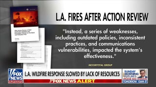 Los Angeles wildfire response delayed by lack of resources: report