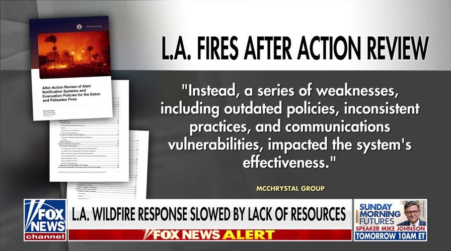 Los Angeles wildfire response delayed by lack of resources: report