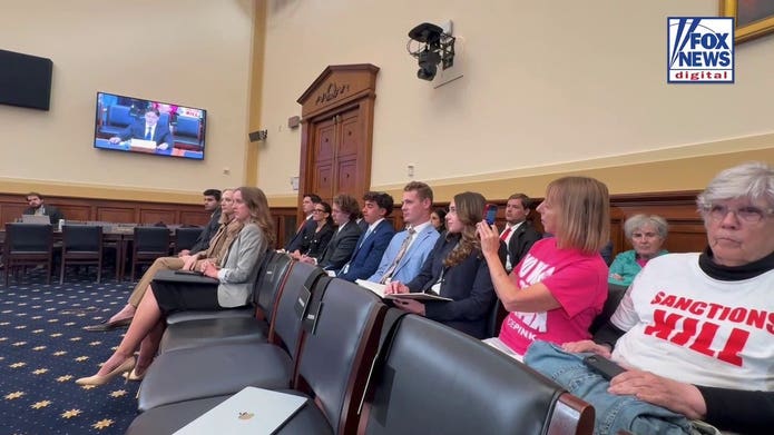 CodePink’s Medea Benjamin photographs herself on congressional feed during ‘Trojan horse’ hearing