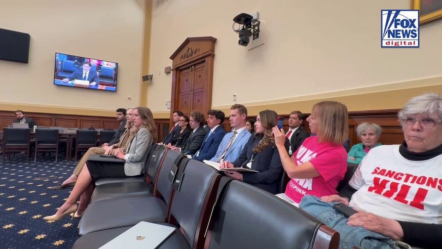 CodePink’s Medea Benjamin photographs herself on congressional feed during ‘Trojan horse’ hearing