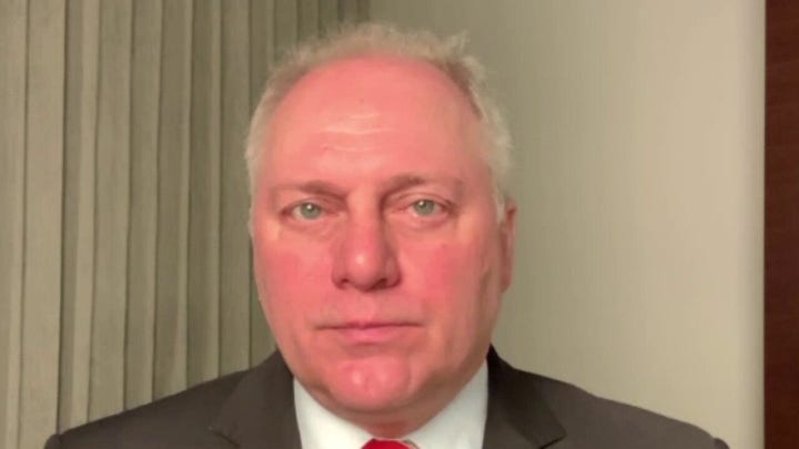Rep. Steve Scalise: Border surge dangerous for Americans, kids