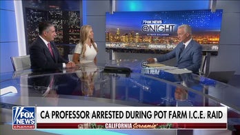 Reported 830% spike in ICE assaults is ‘absolutely preventable,’ says research scientist