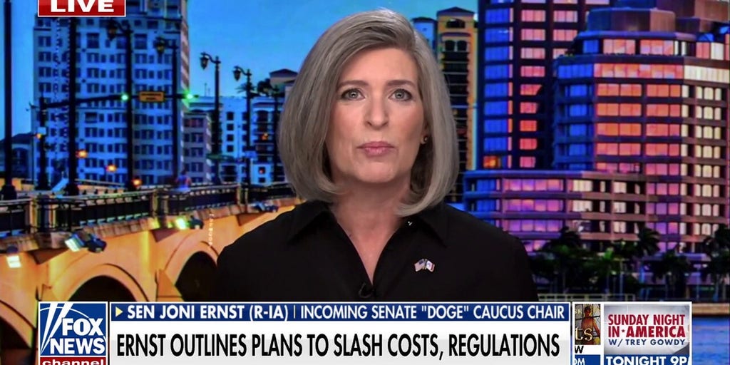 Iowa Senator Joni Ernst to chair 'DOGE' Caucus