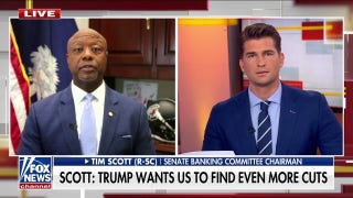 Sen. Tim Scott expresses confidence about codifying DOGE cuts