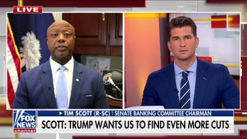 Sen. Tim Scott expresses confidence about codifying DOGE cuts