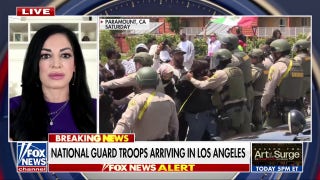 We are seeing a ‘full-blown Democrat derangement syndrome’, attorney argues