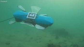 'CyberGuy': This robot can swim, walk, crawl using fins