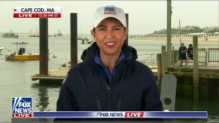 Ahead of July 4th, experts warn beachgoers in Cape Cod of Great White sharks migrating - Fox News
