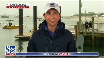 Ahead of July 4th, experts warn beachgoers in Cape Cod of Great White sharks migrating