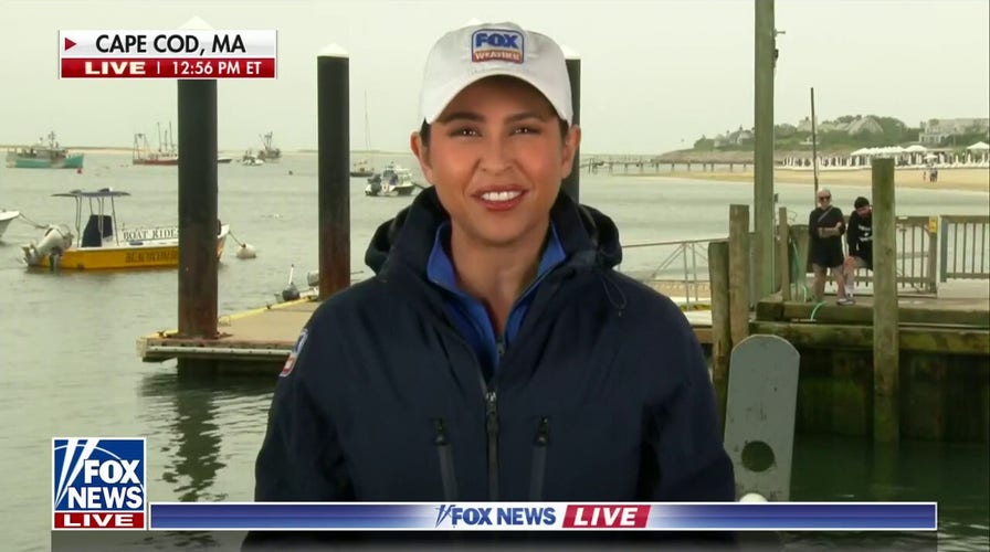 Ahead of July 4th, experts warn beachgoers in Cape Cod of Great White sharks migrating
