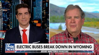 Natural buses should've been considered over electric buses: Paul Vogelheim - Fox News