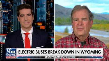 Natural buses should've been considered over electric buses: Paul Vogelheim