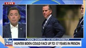 Hunter Biden 'never denied any of the charges': Jason Chaffetz